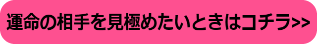 嫌いになれない人 運命の人